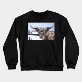 Highland Cow In Winter Crewneck Sweatshirt